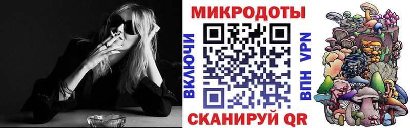 как найти   Каменка  Галлюциногенные грибы Psilocybe 